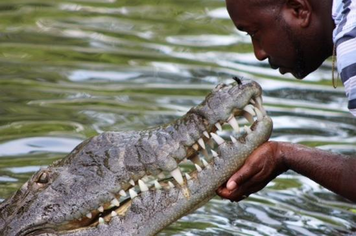 crocodile-kiss-black-river-safari-tour.png
